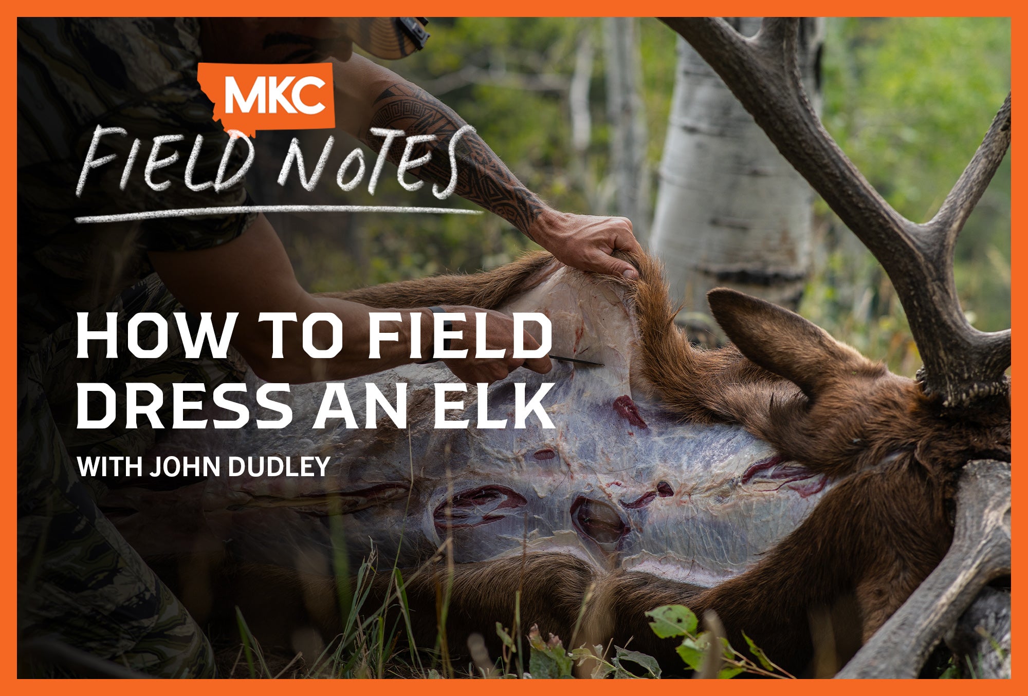How to Field Dress an Elk, With John Dudley How to Field Dress an Elk, With John Dudley
