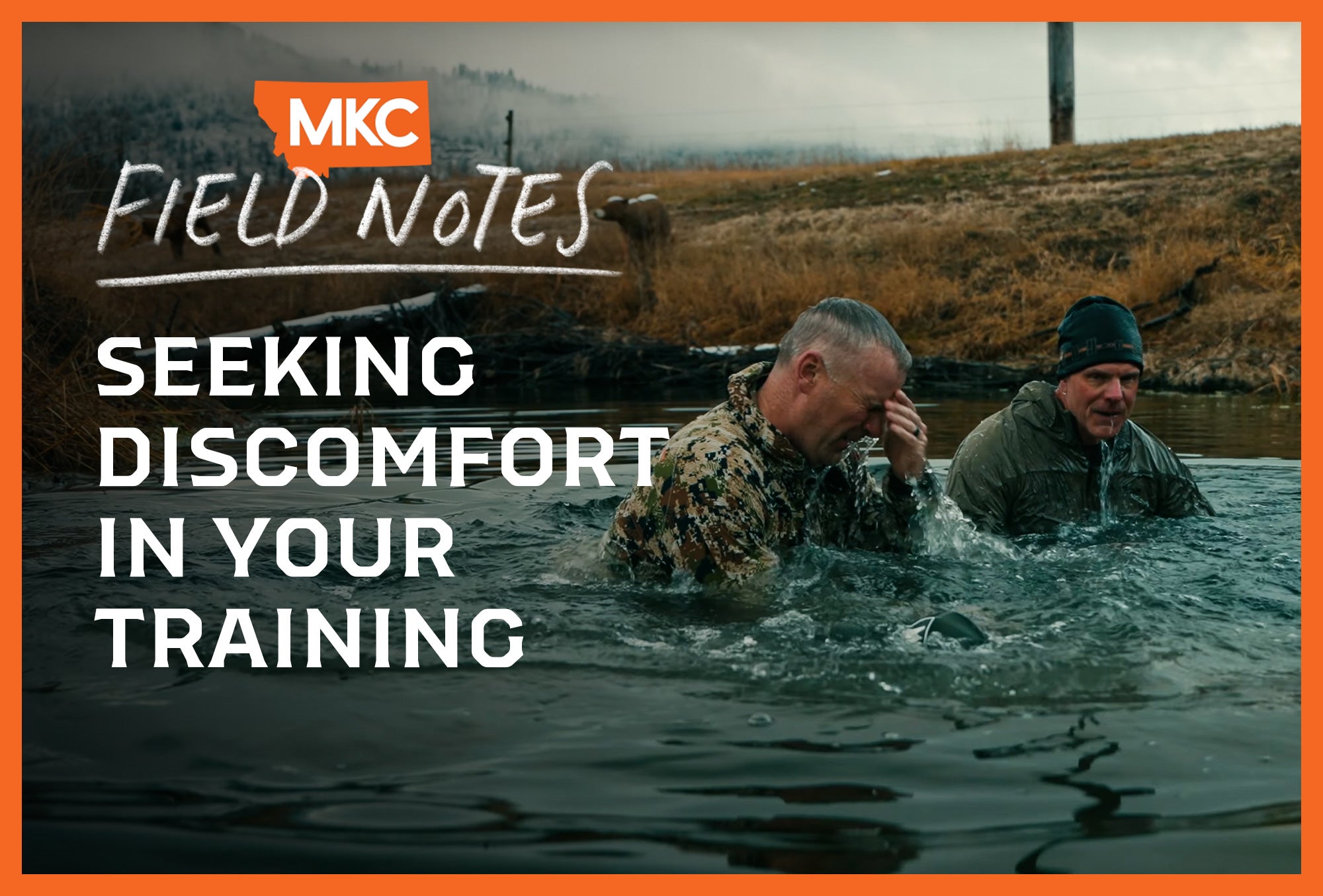 Two men training in water, with a cow observing from the bank and text overlay reading “Seeking Discomfort In Your Training.”