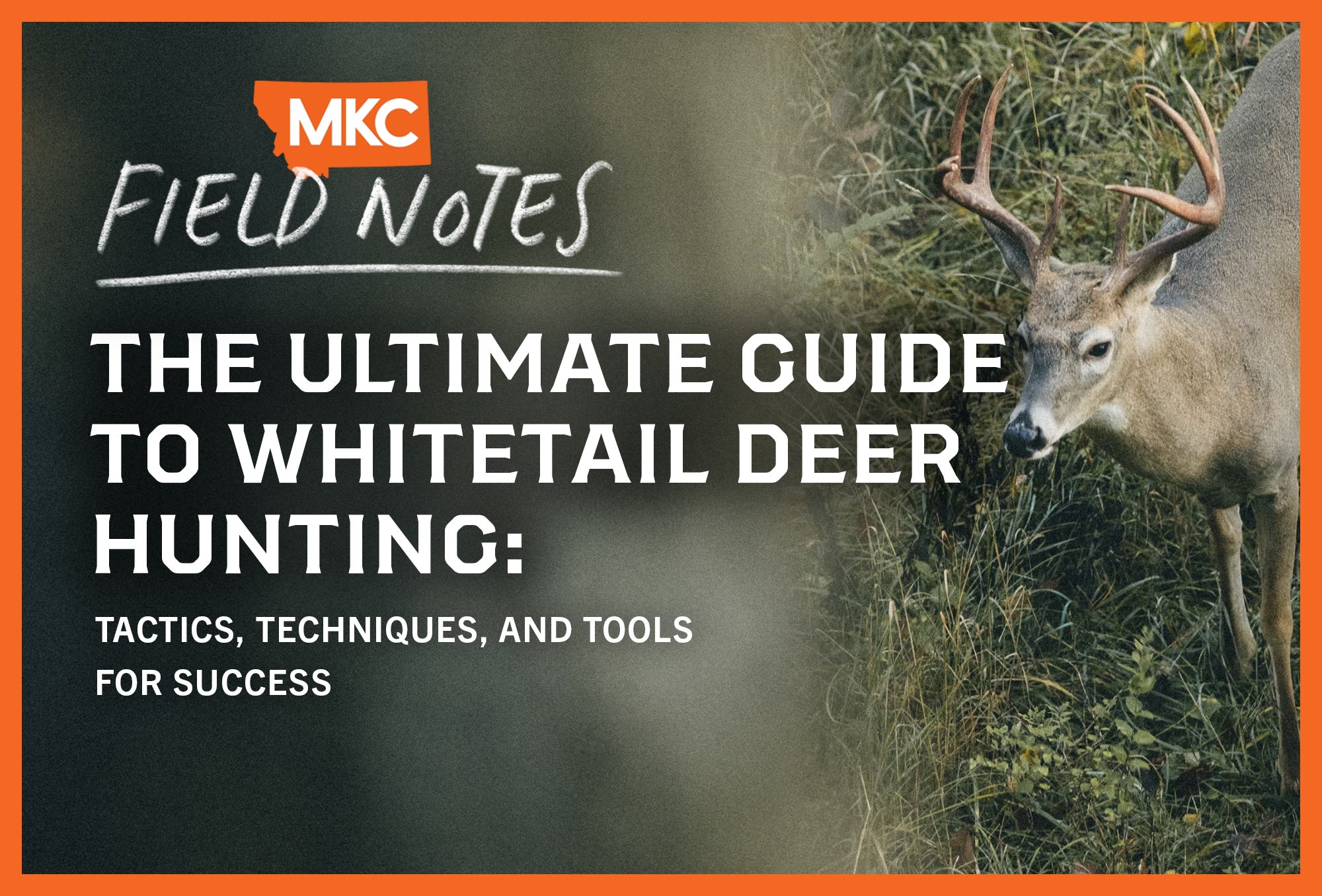 Broadside Whitetail Deer Vitals A QUICK GUIDE TO DIFFERENTIATE MULE