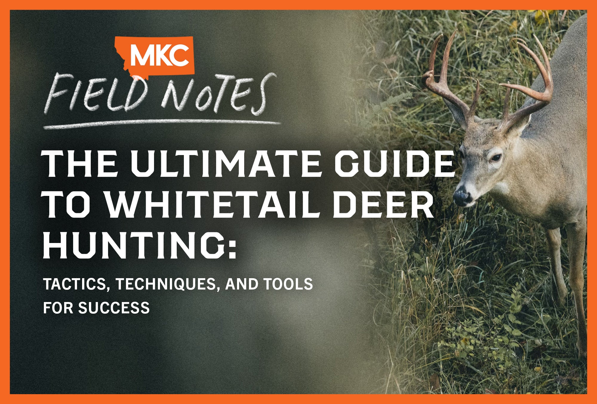 A deer looks up while a hunter waits in a treestand, representing whitetail deer hunting tips.