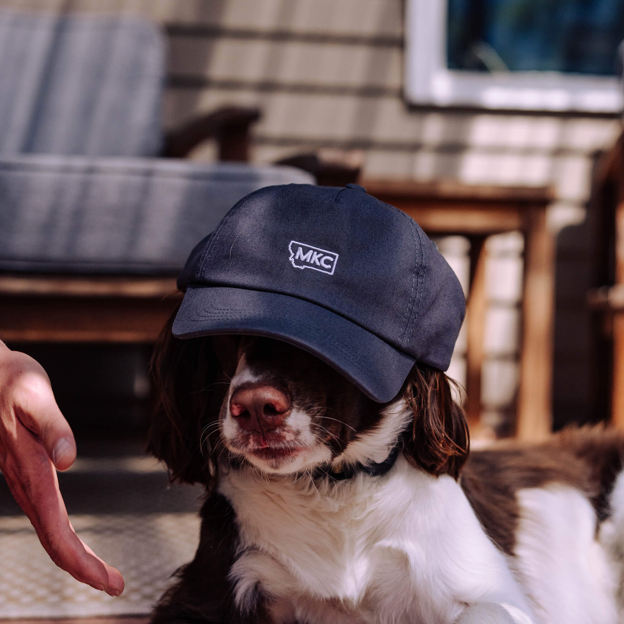 Grey MKC canvas dad hat resting on a dog's head, showcasing the logo in a casual outdoor setting.