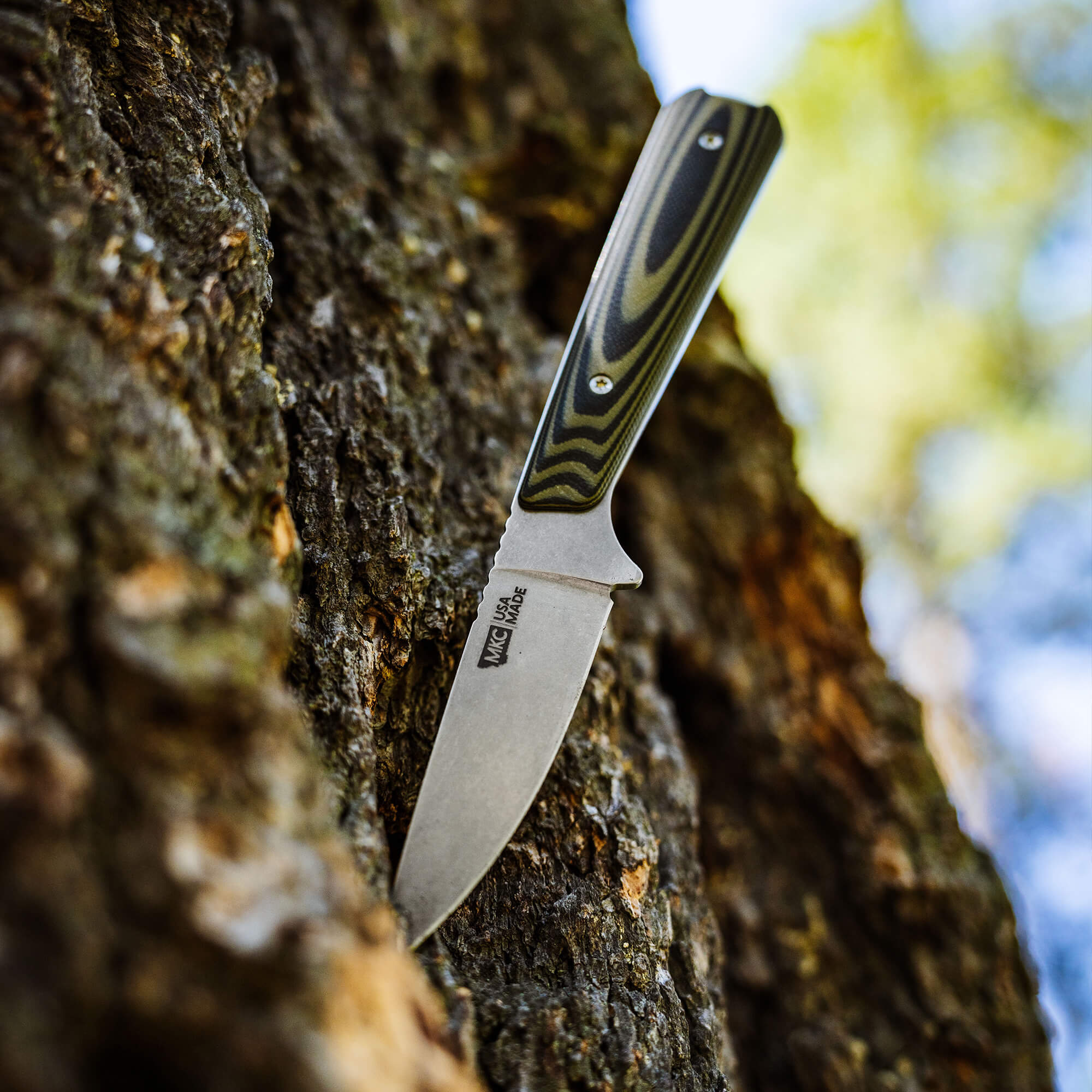 FLATTAIL - GREEN & BLACK