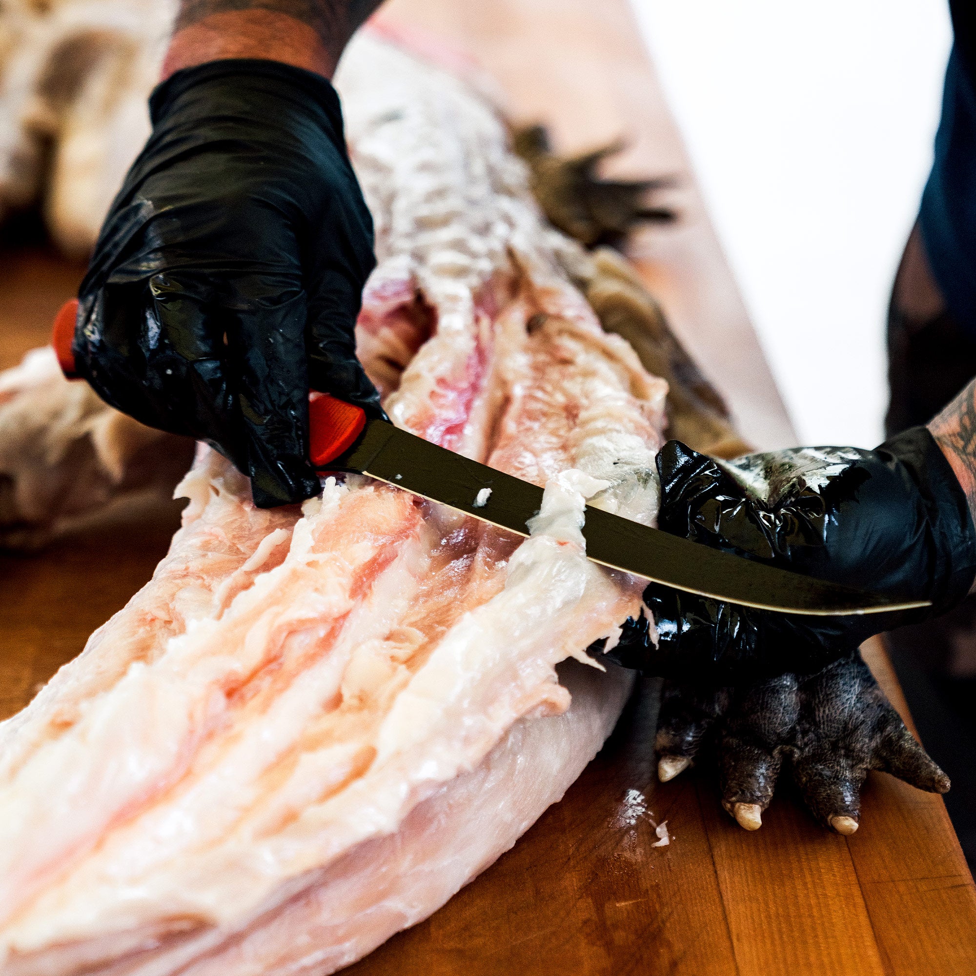 FLATHEAD FILLET - RED