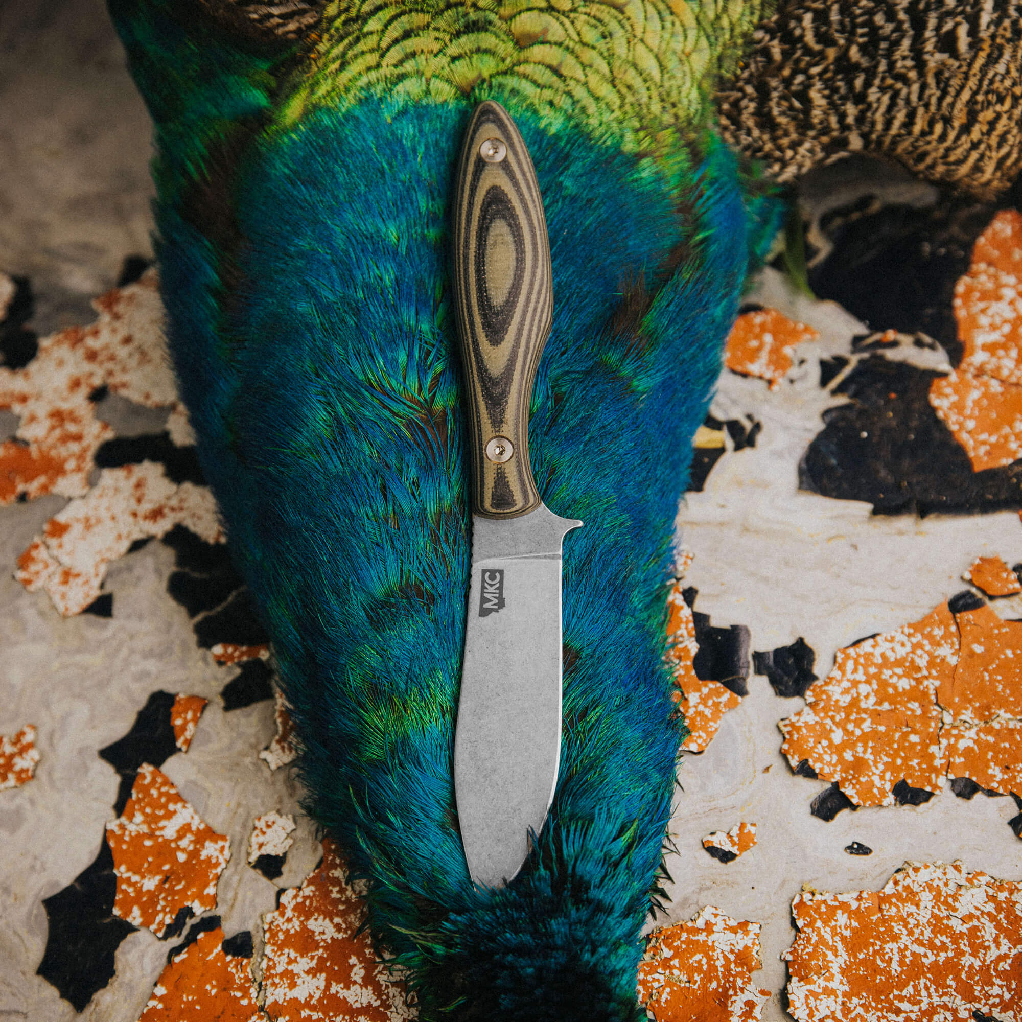 JACKSTONE - GREEN AND BLACK