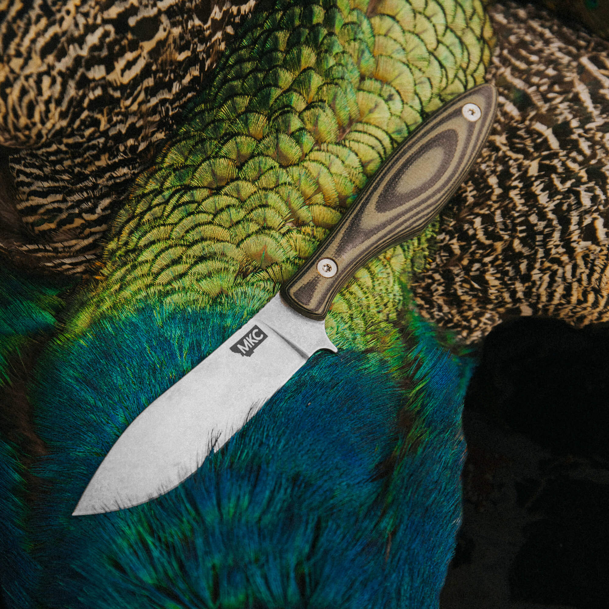 JACKSTONE - GREEN AND BLACK