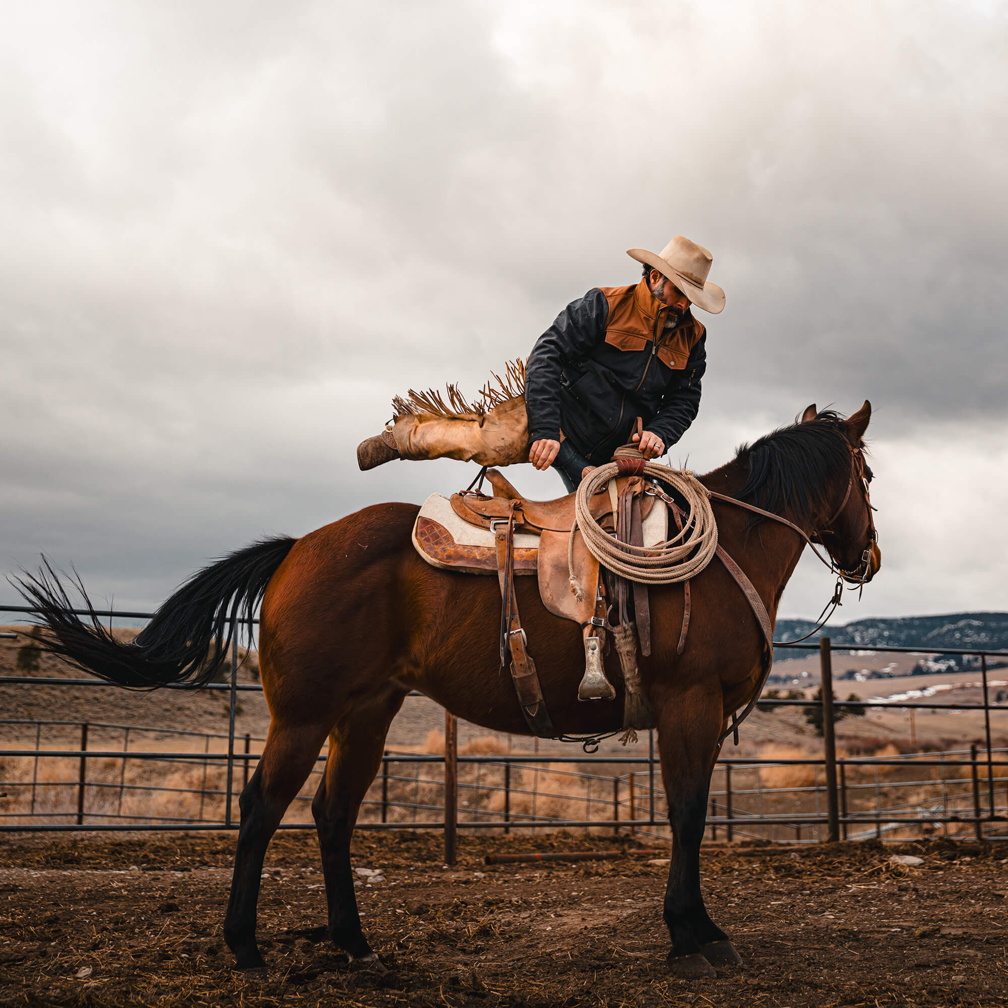 AUGUSTA JACKET - BLACK/COYOTE