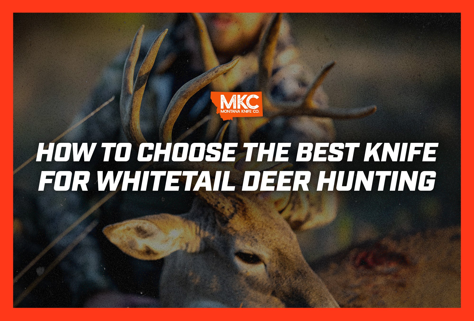 best-whitetail-hunting-knife