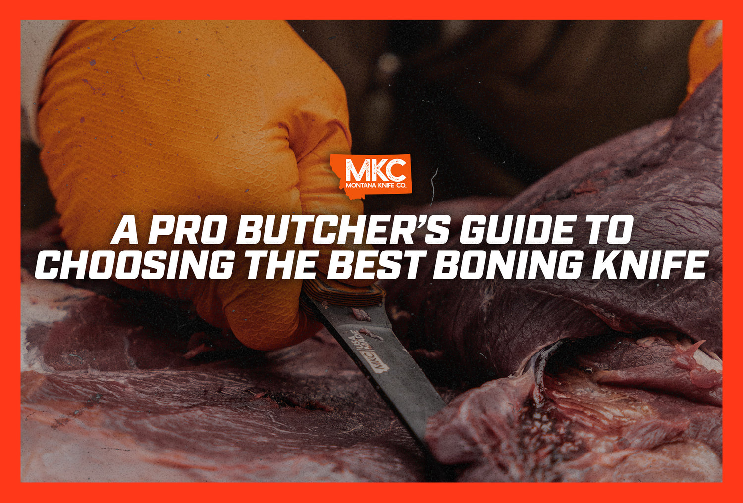 A man’s orange-gloved hand uses his best boning knife to butcher an animal carcass. 