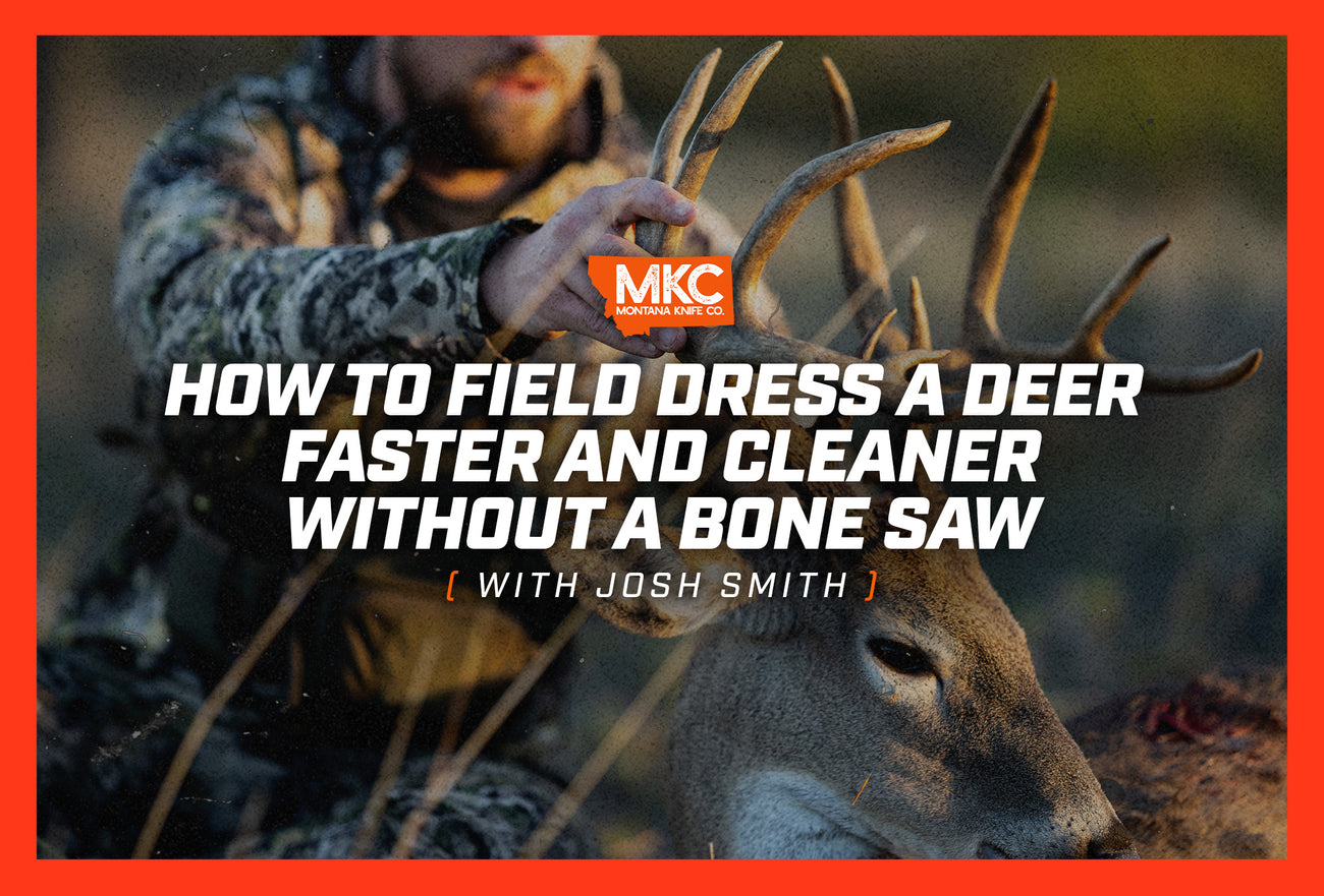 How to Field Dress a Deer Faster and Cleaner Without a Bone Saw