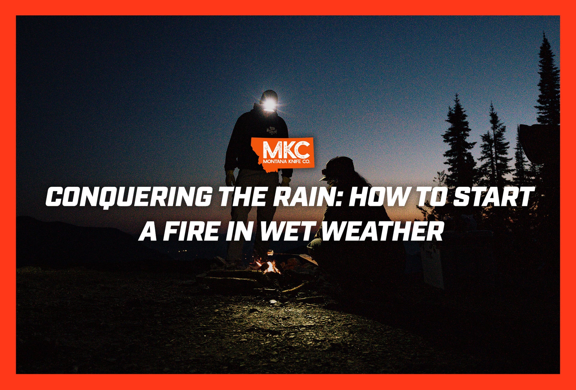 Can You Eat Bear Meat (and How to Prepare It Like a Pro)