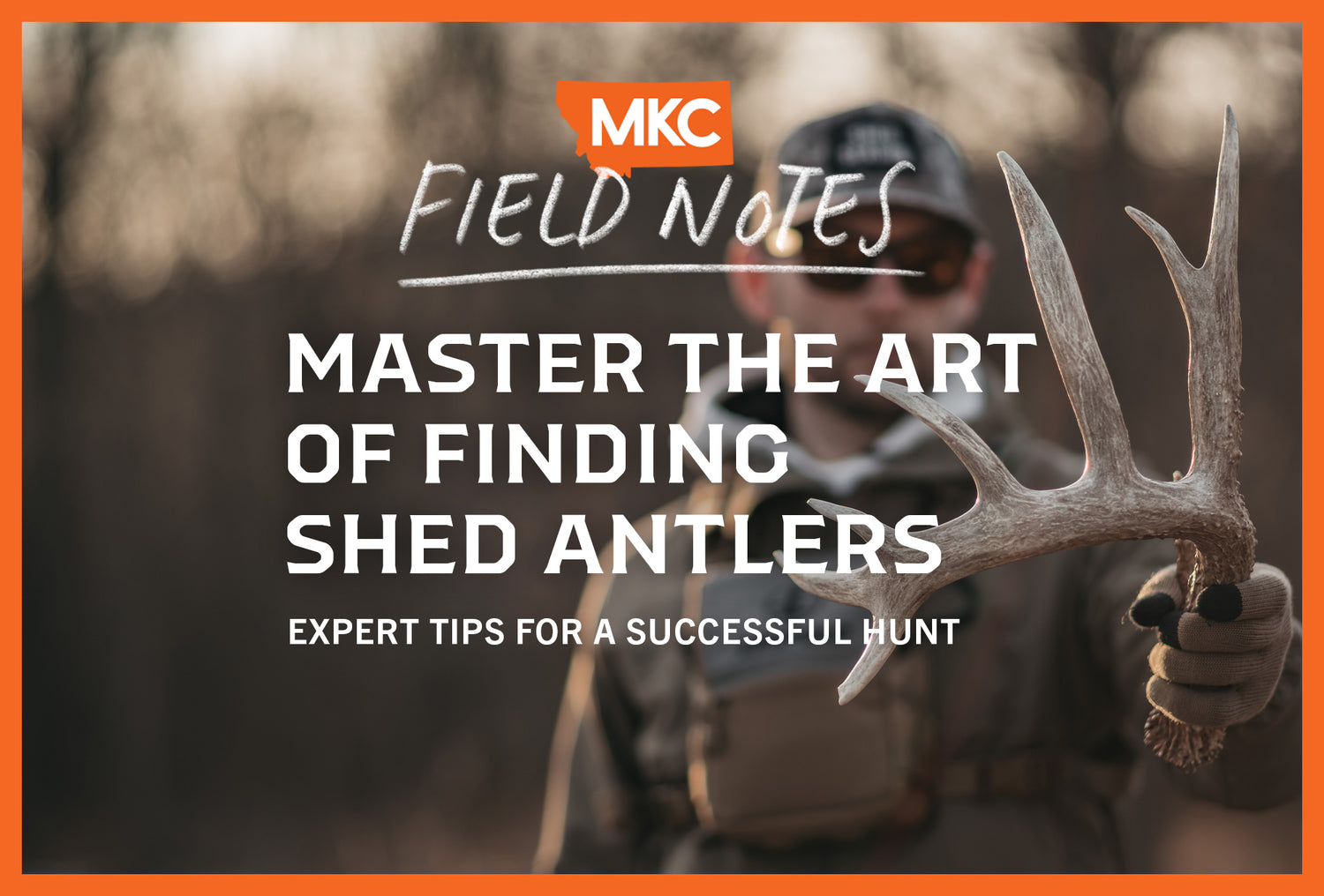 The gloved hand of a hunter in camo holds up a deer antler he found while antler shed hunting.