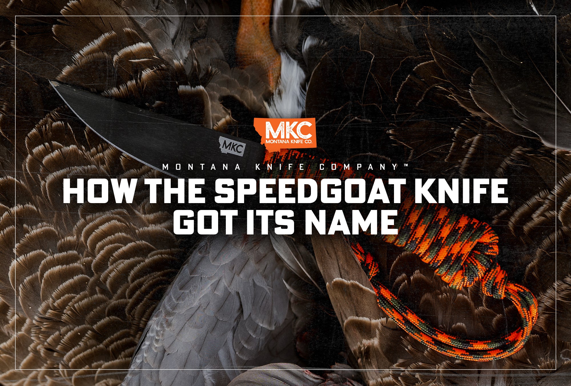 A dark Speadgoat blade with a neon orange paracord handle sits diagonally across the feathers of a bird.