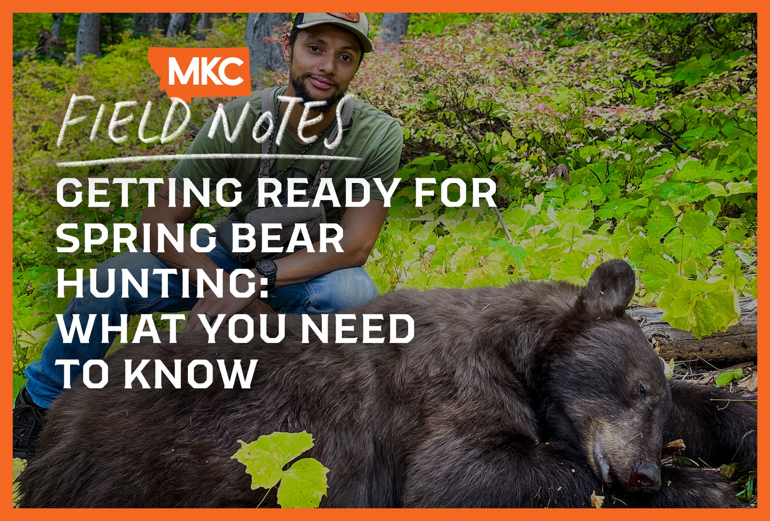Getting Ready for Spring Bear Hunting: What You Need to Know