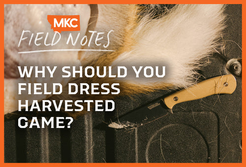Why Should You Field Dress Harvested Game?