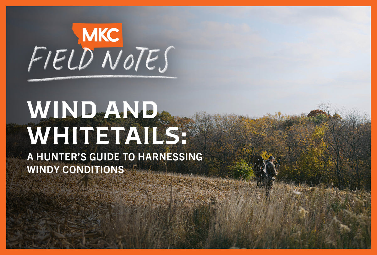Wind and Whitetails: A Hunter’s Guide to Windy Conditions