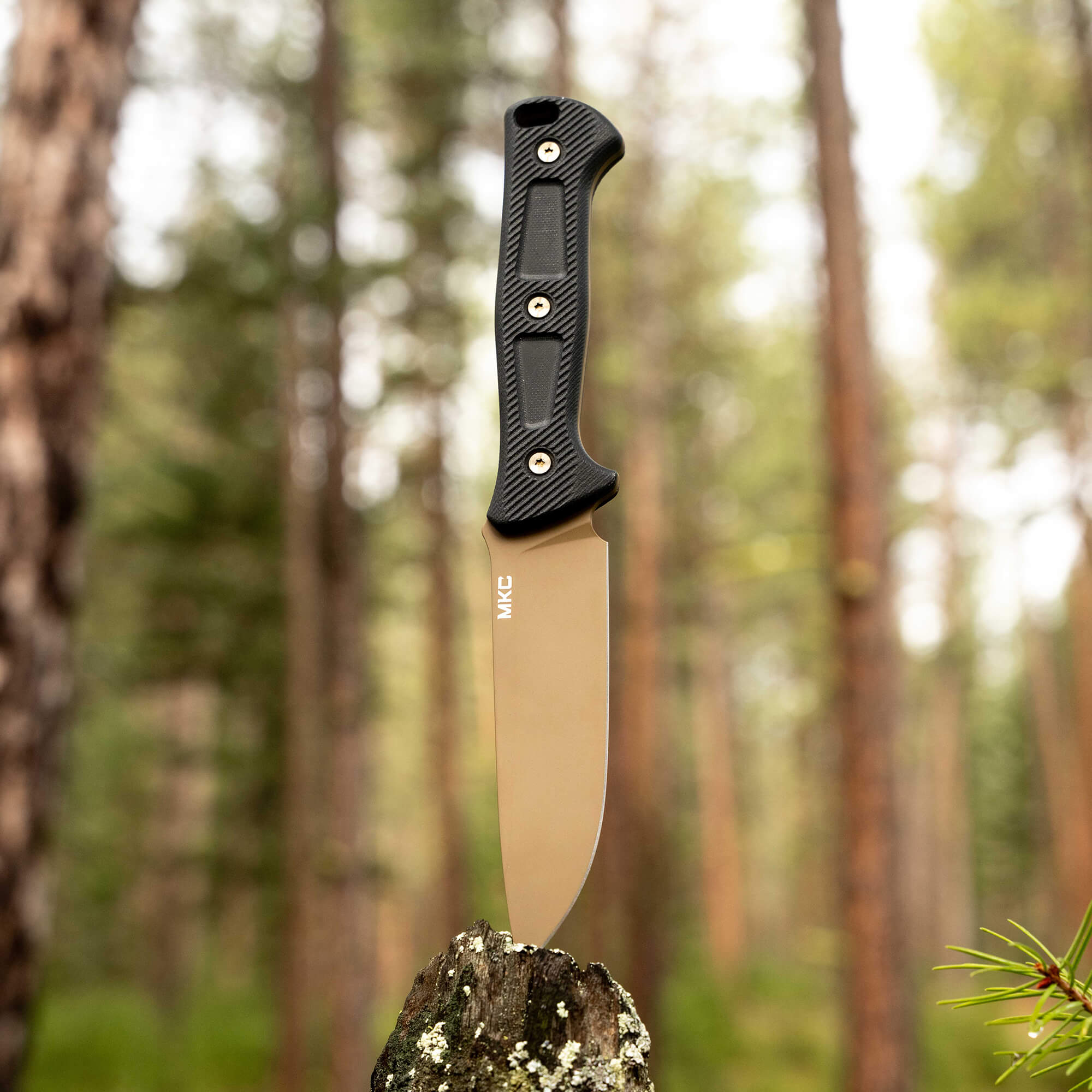 SERE25 - COY/BLK