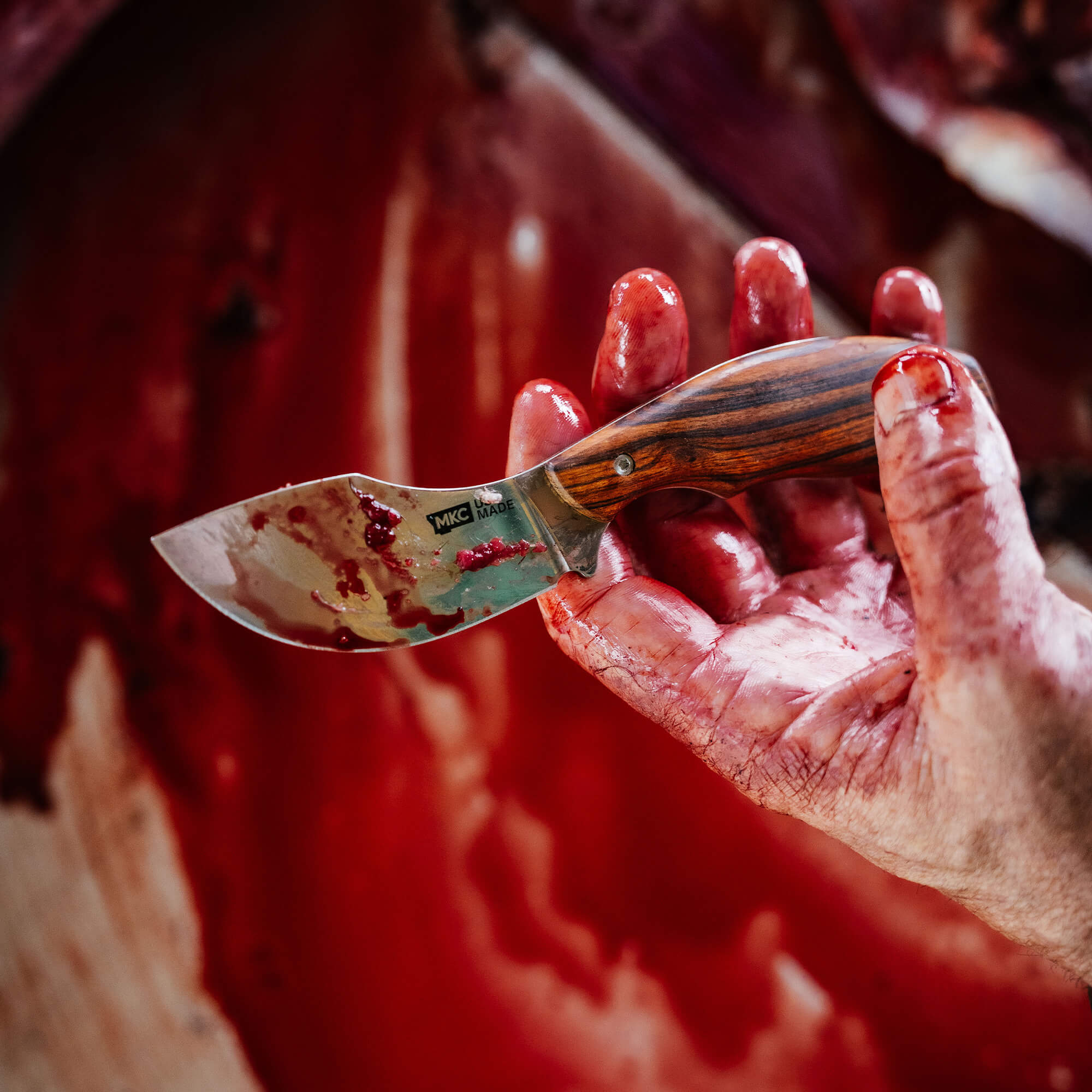 KEEP HAMMERING - TRADITIONS PACKOUT SKINNER - EARLY ACCESS