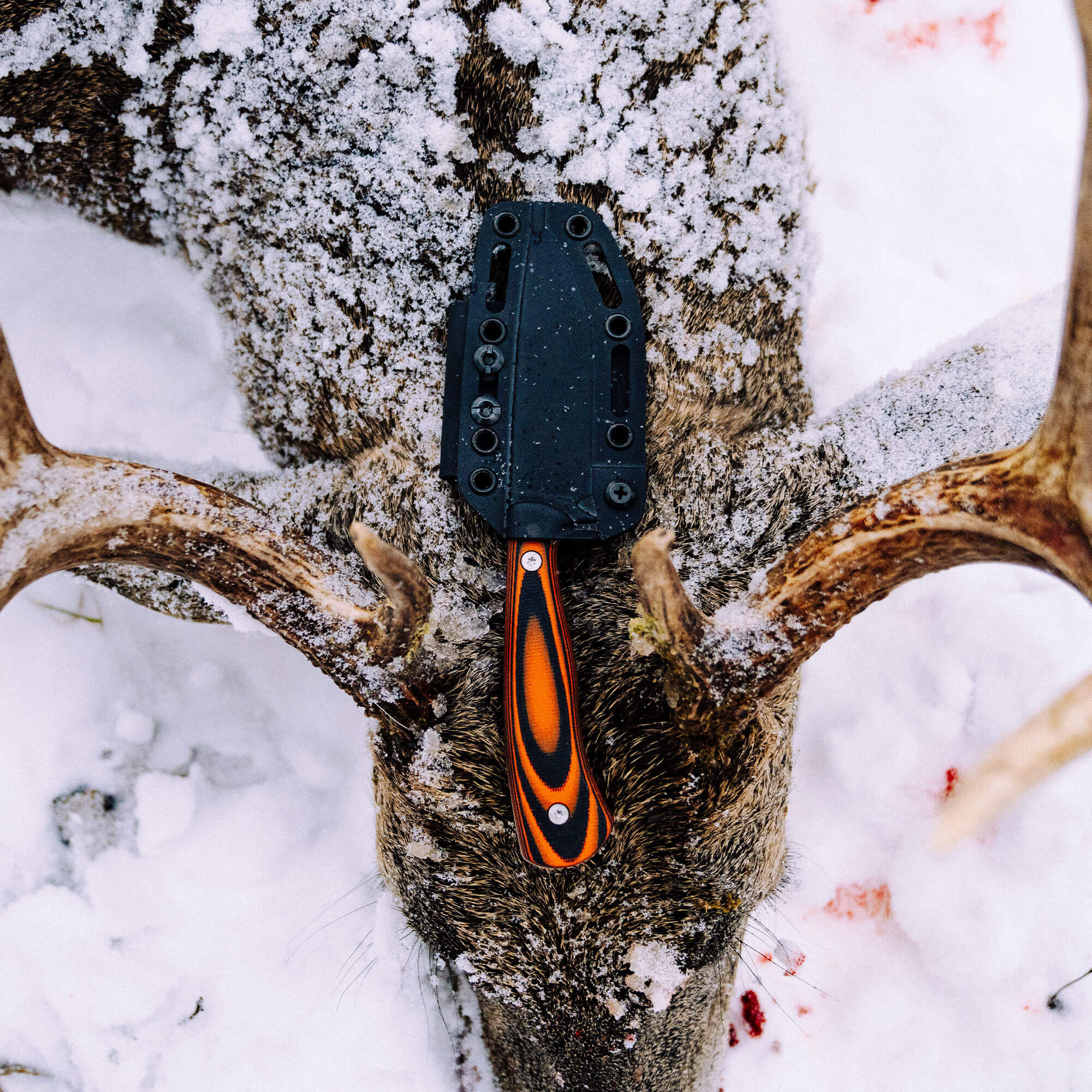 MKC WHITETAIL - ORANGE & BLACK