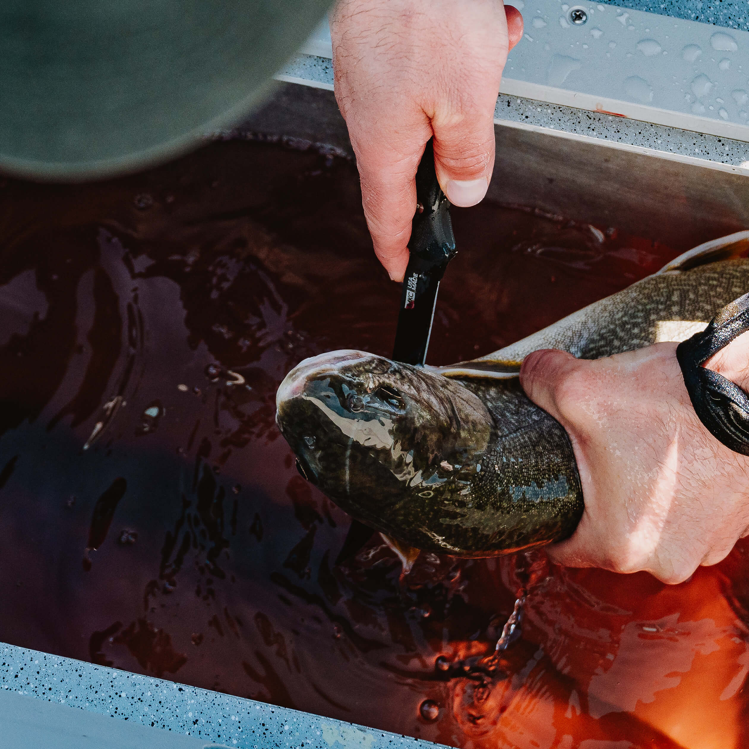 FLATHEAD FILLET - BLACK