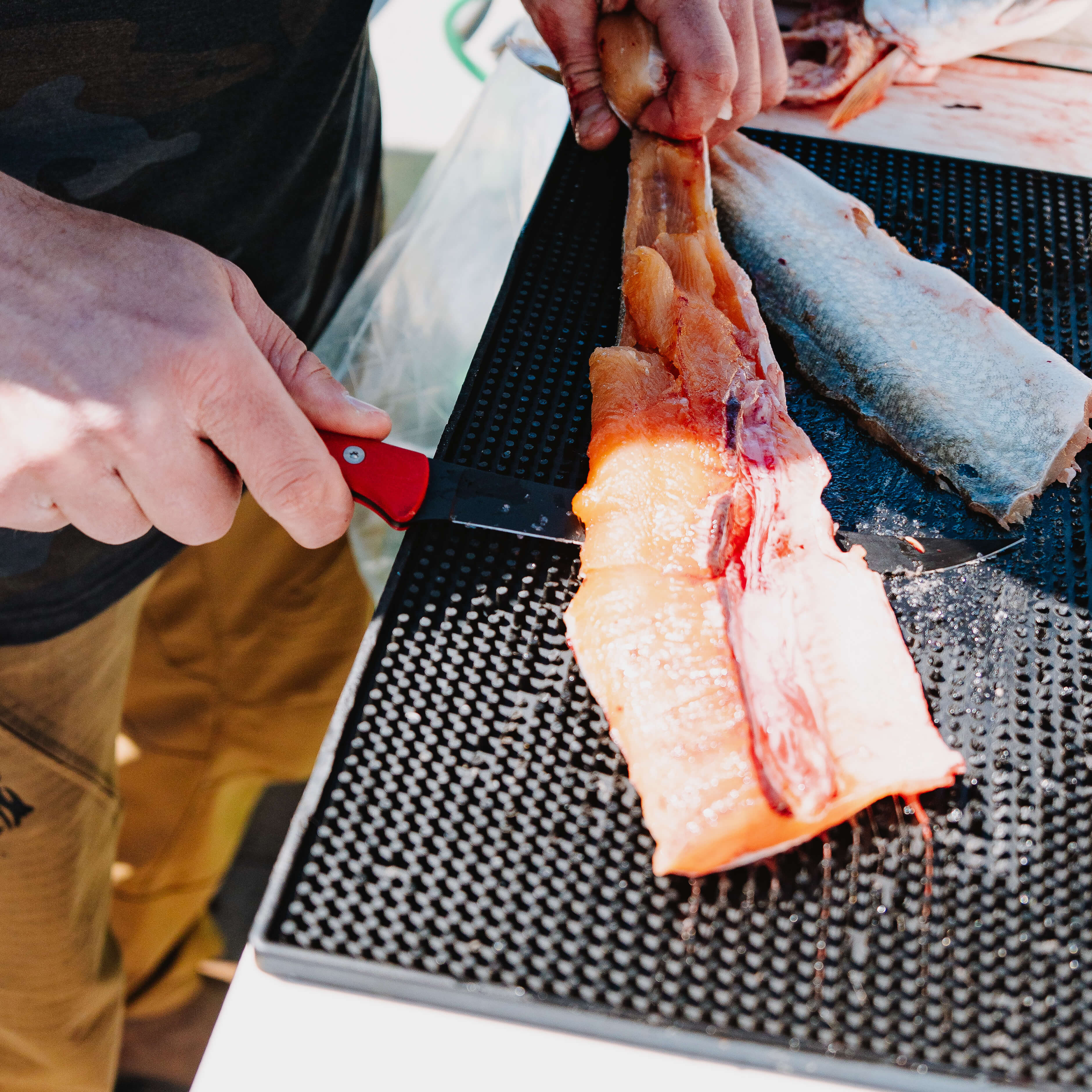 FLATHEAD FILLET  - RED