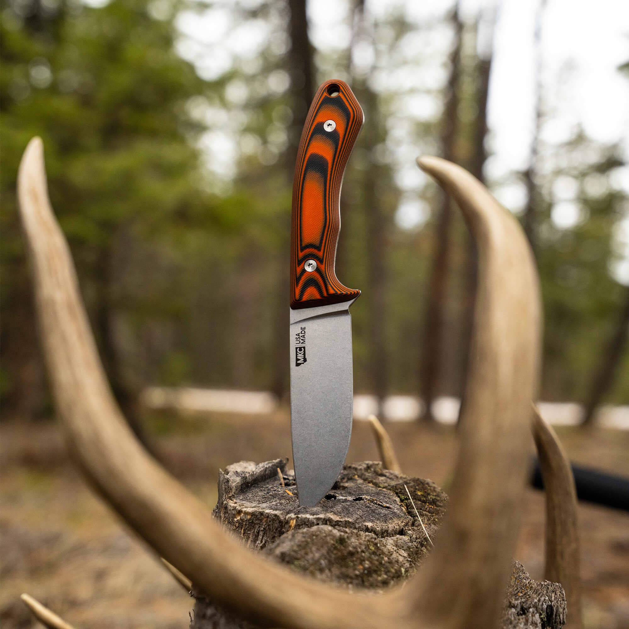 MULE DEER - ORANGE & BLACK