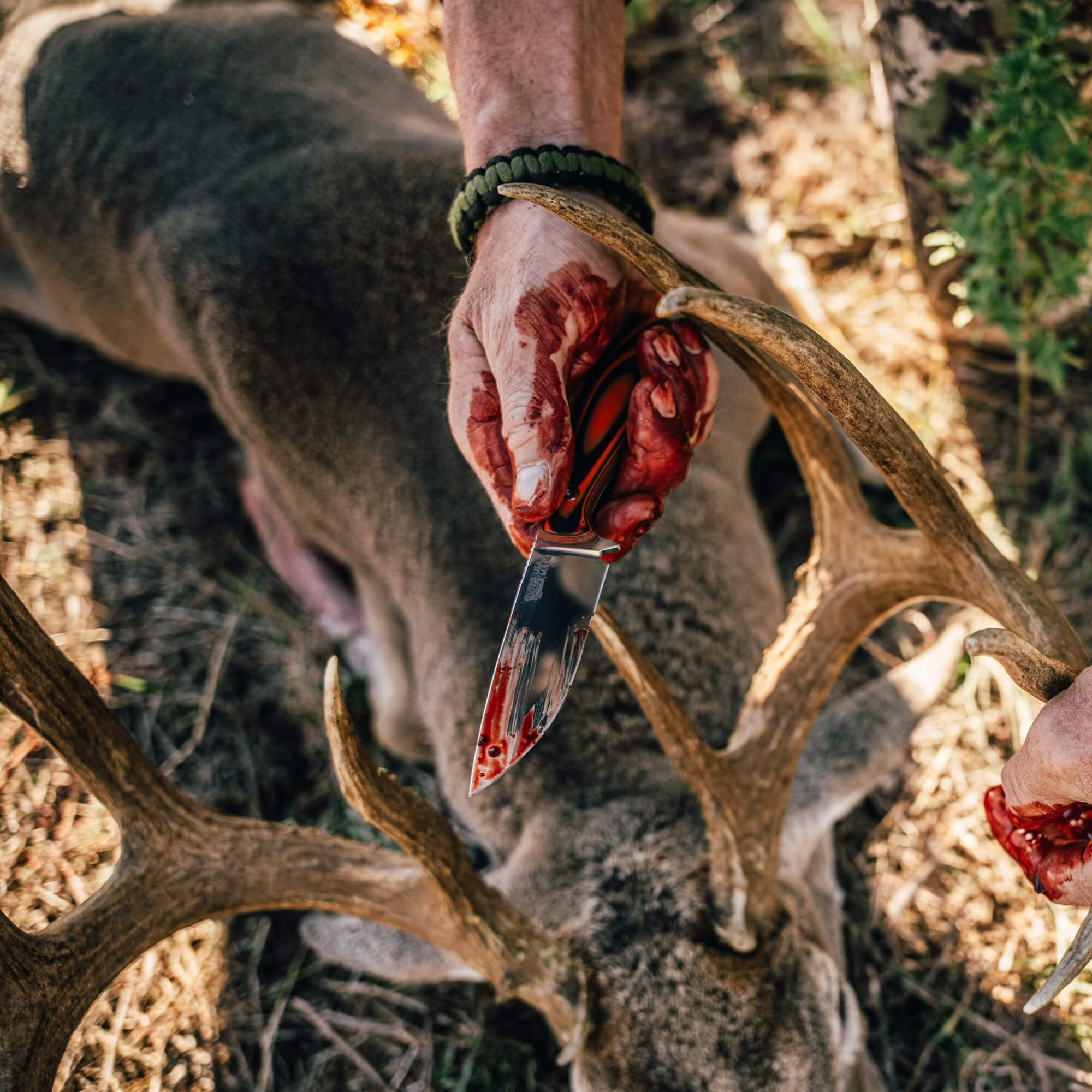 MKC WHITETAIL - ORANGE & BLACK