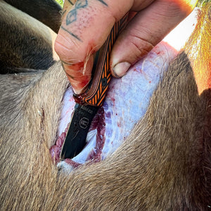 NOCK ON - TRIUMPH HUNTER - ORANGE AND BLACK
