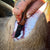 NOCK ON - TRIUMPH HUNTER - ORANGE AND BLACK