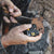 WORK SHARP - PIVOT KNIFE SHARPENER™ WITH PIVOT-RESPONSE™ AND CONVEX-CARBIDE™